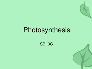 Photosynthesis