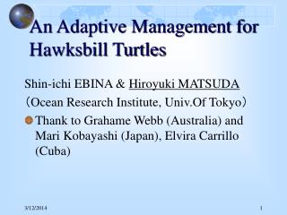 An Adaptive Management for Hawksbill Turtles
