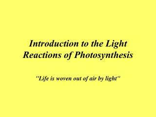Introduction to the Light Reactions of Photosynthesis