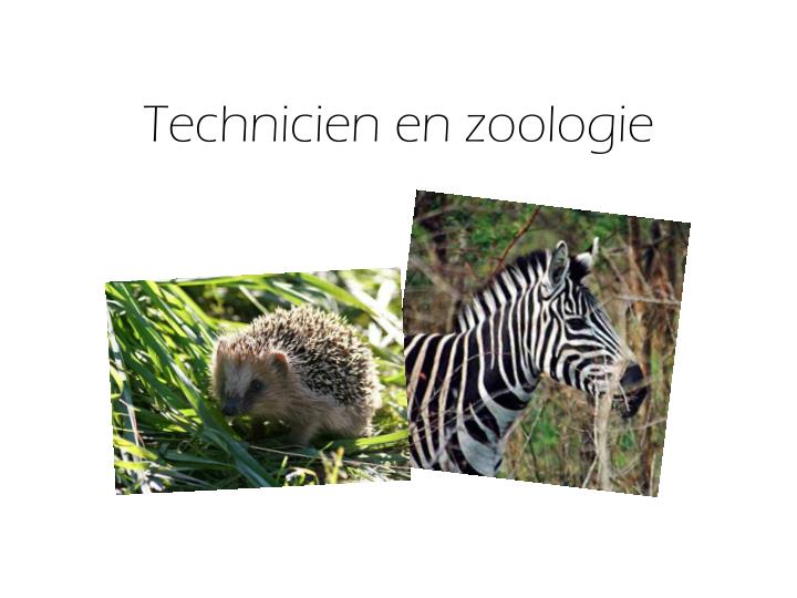 technicien en zoologie