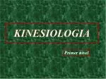 KINESIOLOGIA - slide 1