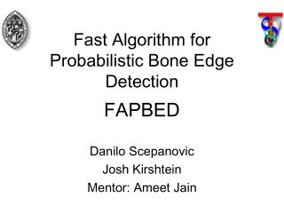 Fast Algorithm for Probabilistic Bone Edge Detection