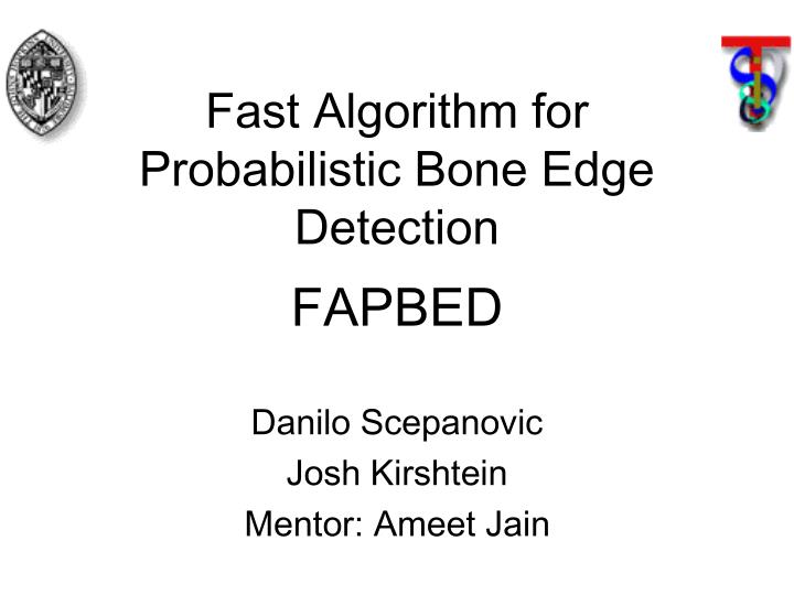 fast algorithm for probabilistic bone edge detection