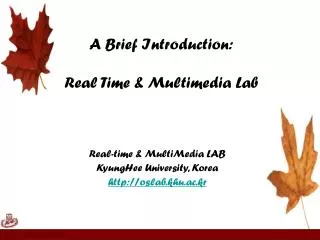 A Brief Introduction: Real Time &amp; Multimedia Lab