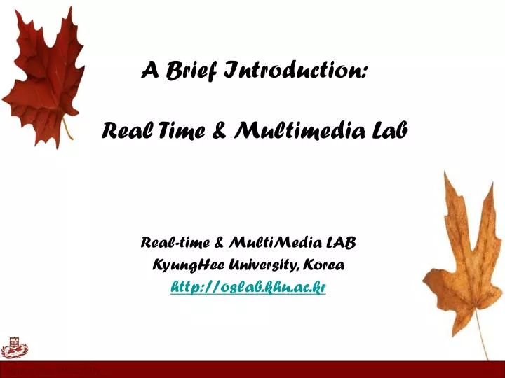 a brief introduction real time multimedia lab