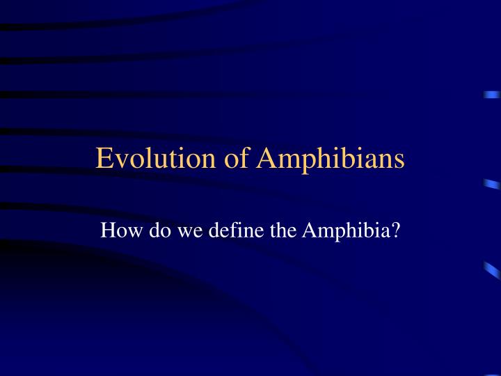 evolution of amphibians