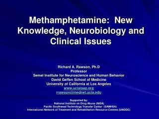 Methamphetamine: New Knowledge, Neurobiology and Clinical Issues