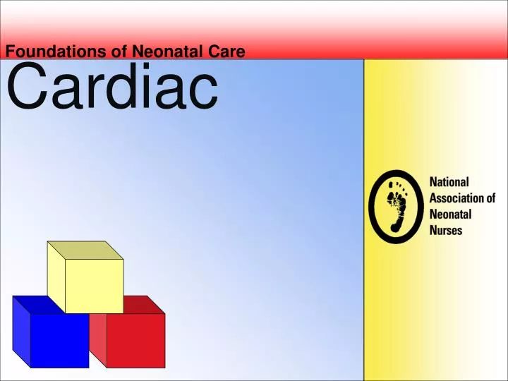 foundations of neonatal care