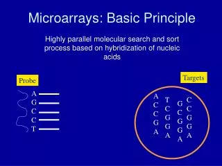 Microarrays: Basic Principle