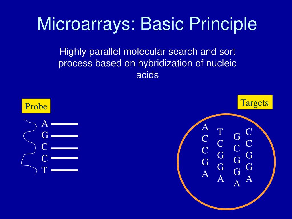 PPT - Microarrays: Basic Principle PowerPoint Presentation, free ...