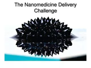The Nanomedicine Delivery Challenge