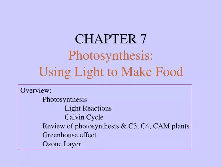 chapter 7 photosynthesis using light to make food