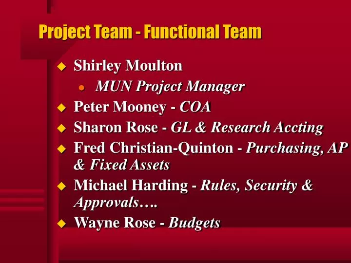 project team functional team