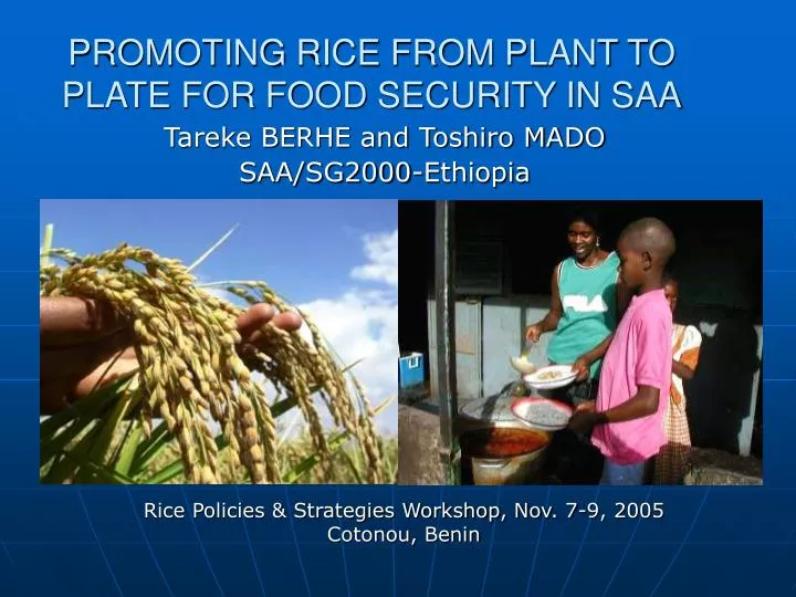 promoting rice from plant to plate for food security in saa