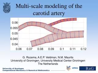 Multi-scale modeling of the carotid artery