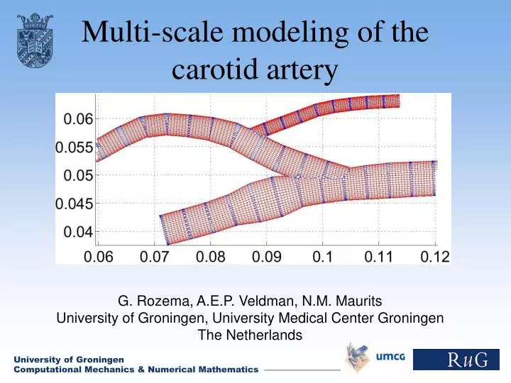 multi scale modeling of the carotid artery