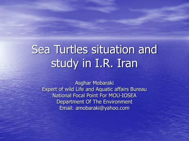 sea turtles situation and study in i r iran