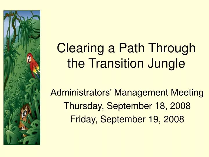 clearing a path through the transition jungle