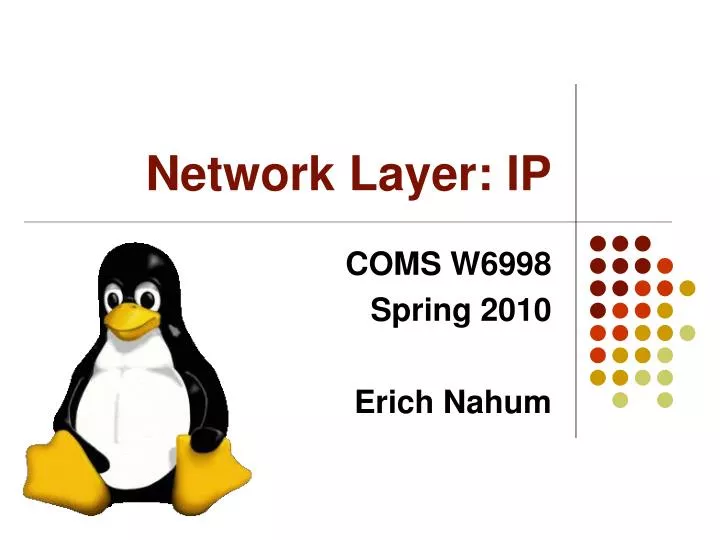 network layer ip