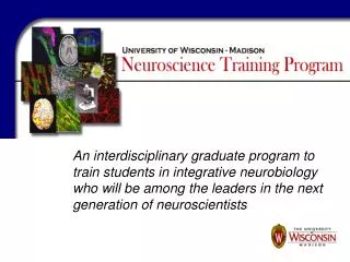 An interdisciplinary graduate program to train students in integrative neurobiology who will be among the leaders in the