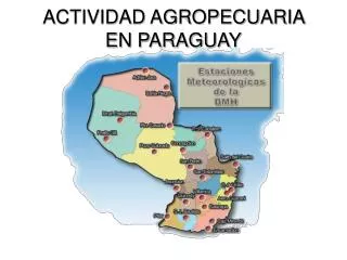 ACTIVIDAD AGROPECUARIA EN PARAGUAY