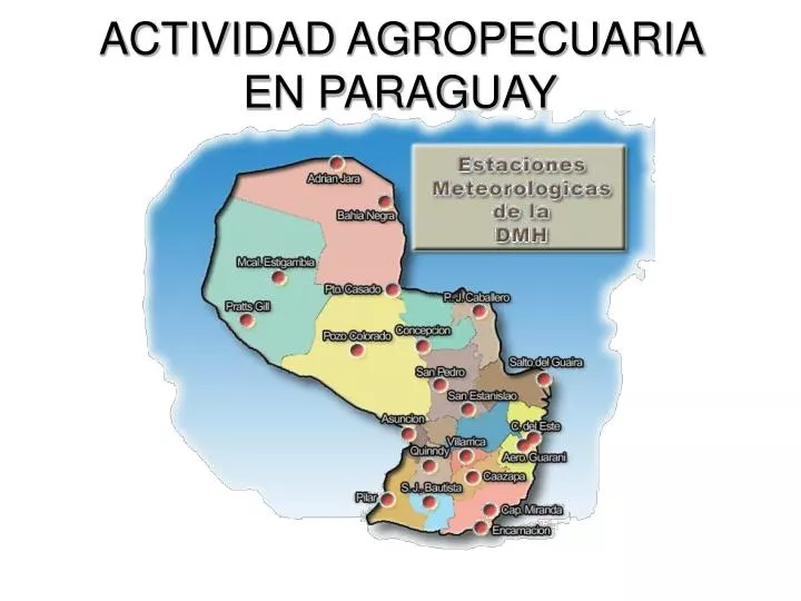 actividad agropecuaria en paraguay