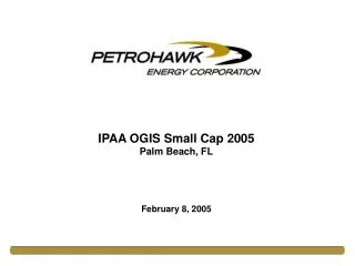 IPAA OGIS Small Cap 2005 Palm Beach, FL February 8, 2005