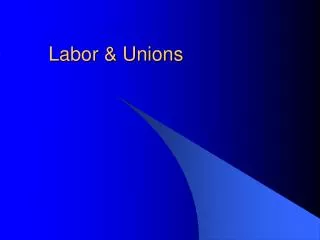 Labor &amp; Unions