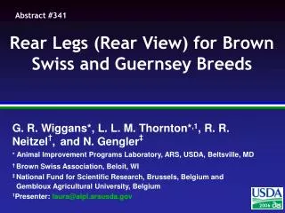 Rear Legs (Rear View) for Brown Swiss and Guernsey Breeds