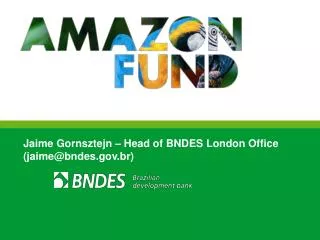 Jaime Gornsztejn – Head of BNDES London Office (jaime@bndes.br)