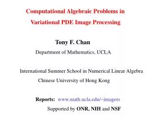 Computational Algebraic Problems in Variational PDE Image Processing