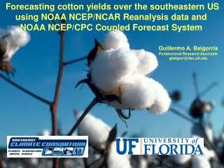 Forecasting cotton yields over the southeastern US using NOAA NCEP/NCAR Reanalysis data and NOAA NCEP/CPC Coupled Forec