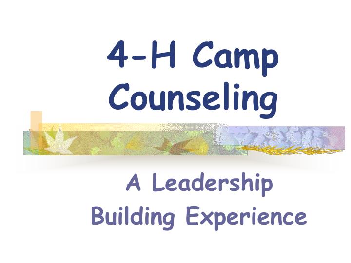 4 h camp counseling