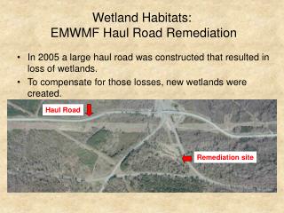 Wetland Habitats: EMWMF Haul Road Remediation