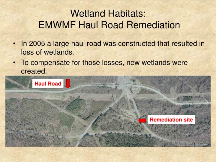 wetland habitats emwmf haul road remediation
