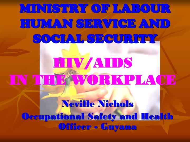 ministry of labour human service and social security