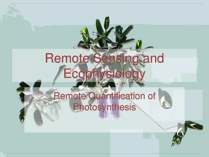 remote sensing and ecophysiology