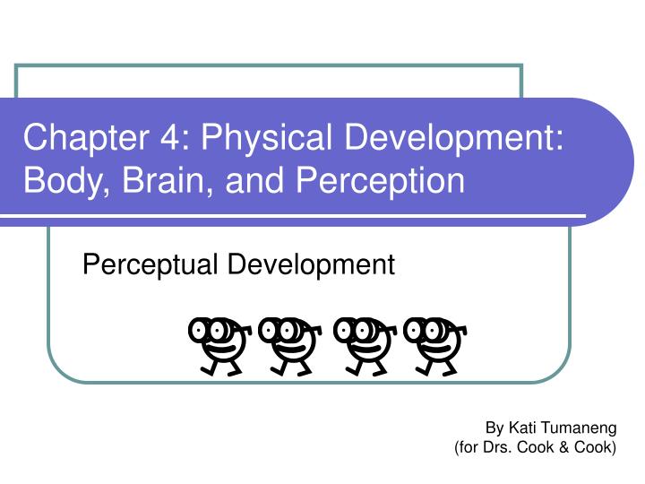 chapter 4 physical development body brain and perception