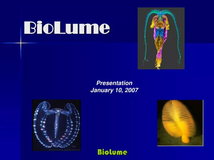biolume