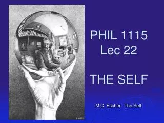 PHIL 1115 Lec 22 THE SELF