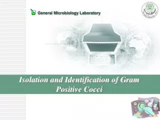 Isolation and Identification of Gram Positive Cocci