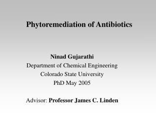 Phytoremediation of Antibiotics