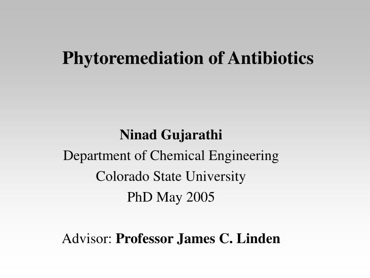 phytoremediation of antibiotics