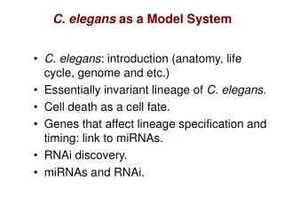 C. elegans as a Model System