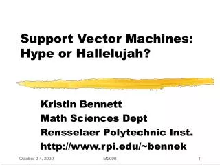 Support Vector Machines: Hype or Hallelujah?