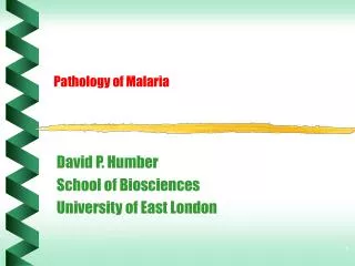 Pathology of Malaria
