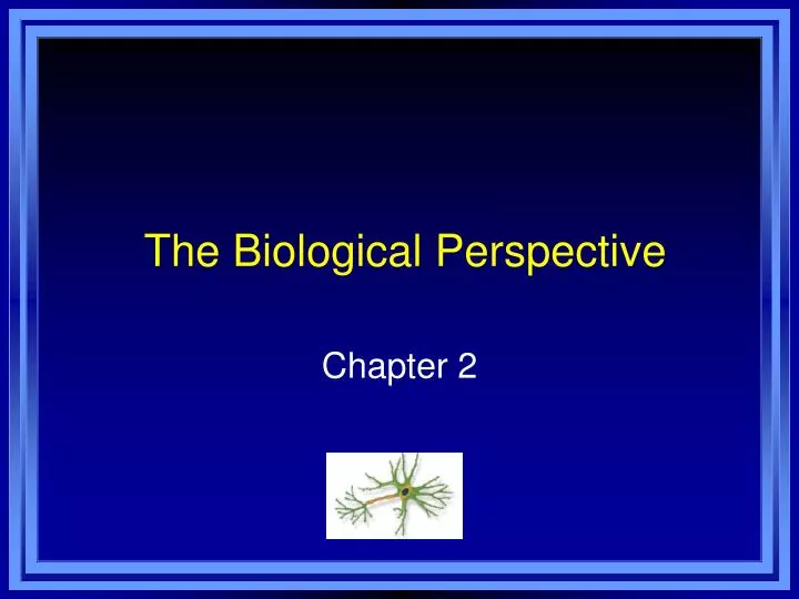 the biological perspective