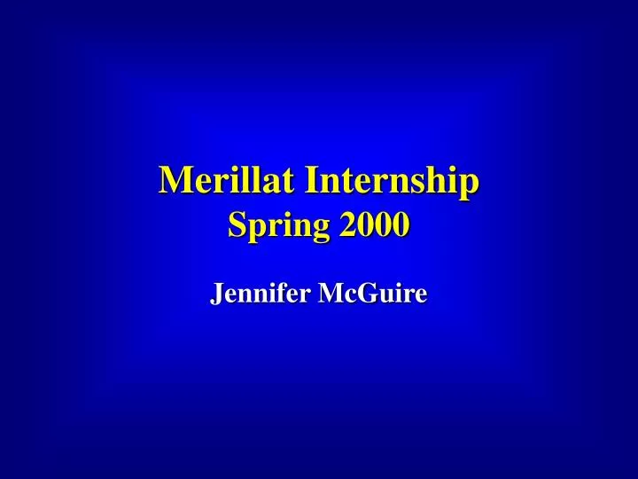 merillat internship spring 2000