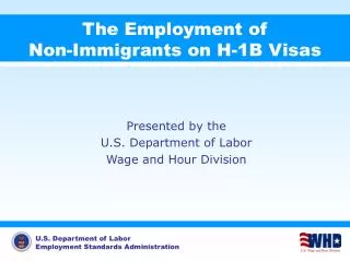 The Employment of Non-Immigrants on H-1B Visas