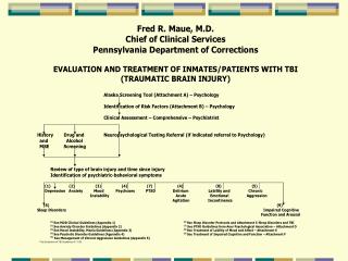 TBI - Neuroanatomy of TBA
